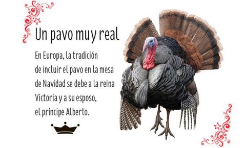 ¡A comer pavo!