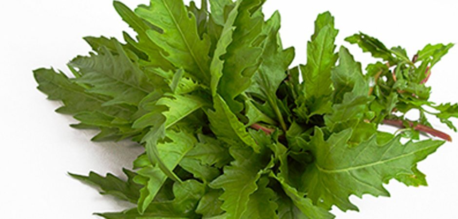 Epazote, ligero y aromático