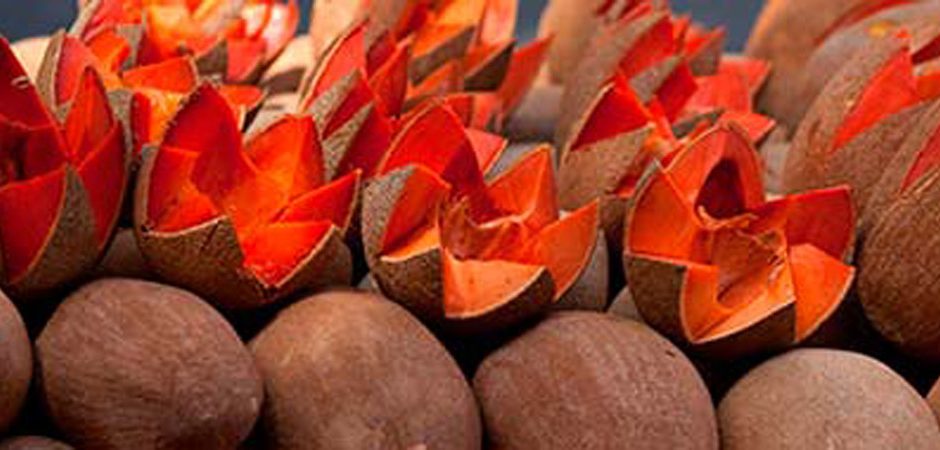 Frutos exóticos de México