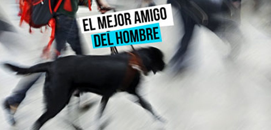 Perros para personas con diabetes