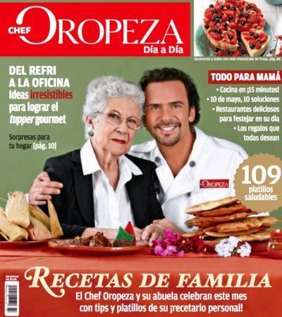 No.17 Mayo 2011