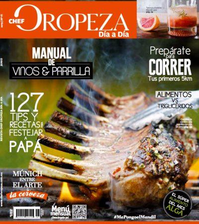 No.41 Junio 2013