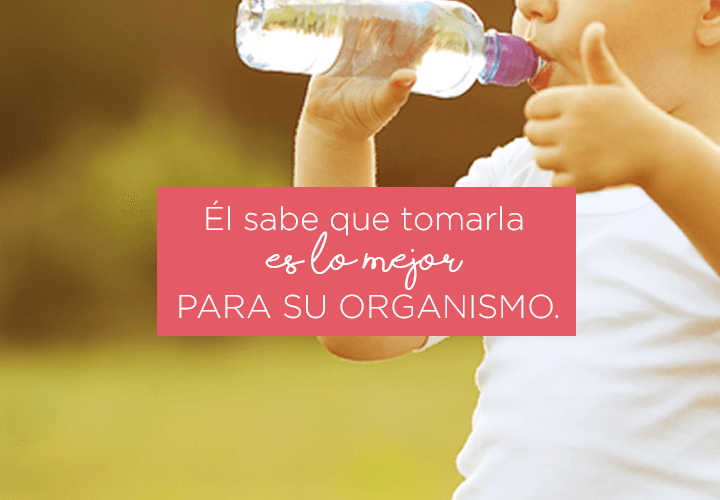 El buen hábito de tomar agua