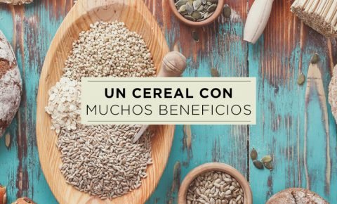 Gluten y beneficios del trigo