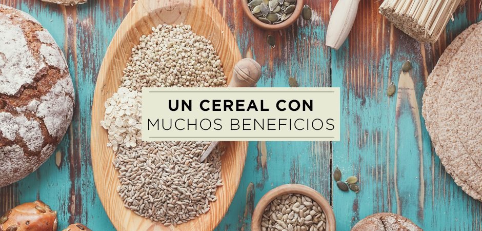 Gluten y beneficios del trigo