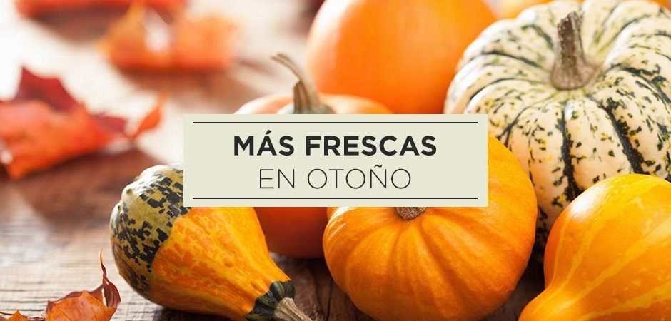 Frutas y verduras de temporada