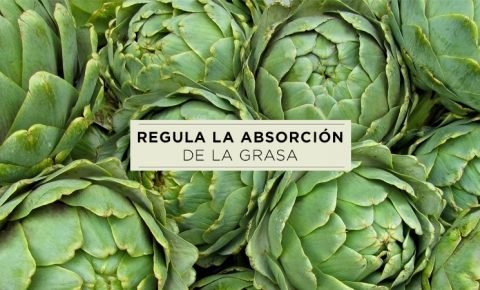 Beneficios y nutrientes de la alcachofa