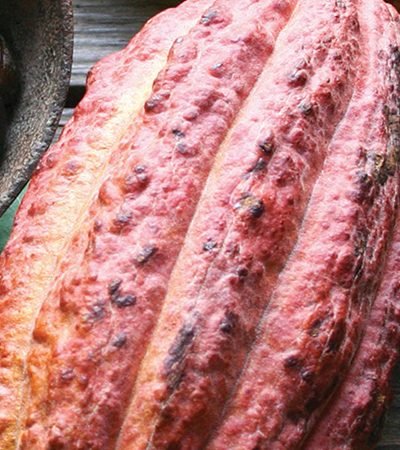 Tamal de cazuela