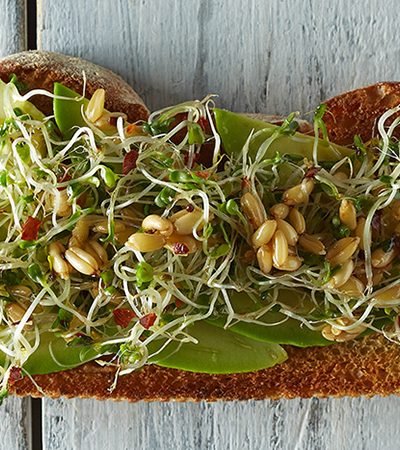 Tostada con aguacate y ensalada de germinados