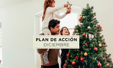 Plan de acciones en diciembre