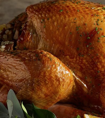pavo-navideño_web